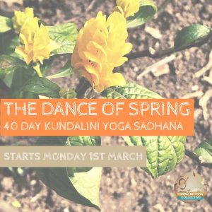 Kundalini Yoga Collective