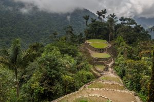 Kundalini Yoga Collective, Colombia