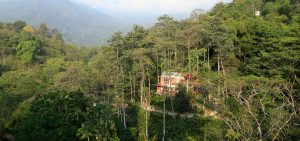 Kundalini Yoga Collective, Colombia